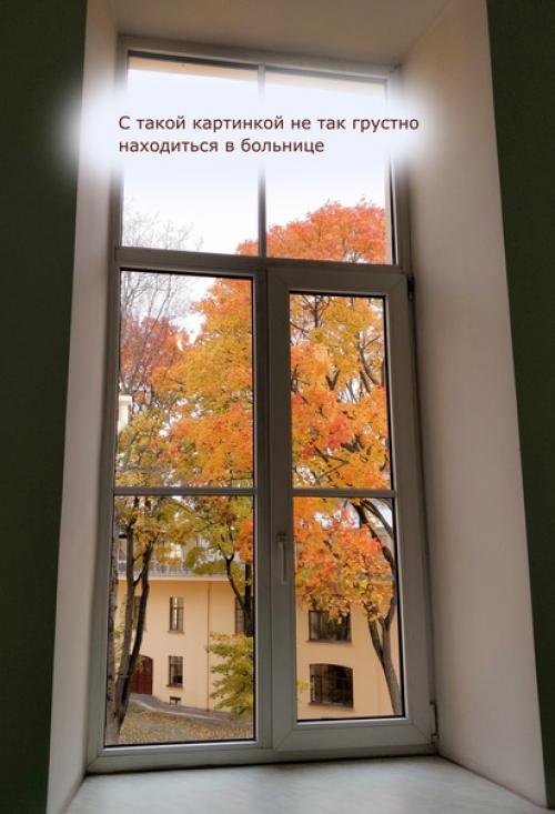 Лечь под нож хирурга по-петербуржски, это как? 06