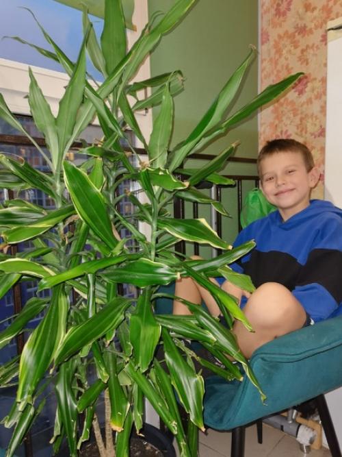 Ученик 3 М королев Глеб участвует во всероссийской акции домашняя оранжерея в рамках всероссийского проекта плоды науки. 01