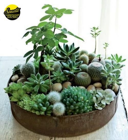 Все девушки и женщины пристрастно относятся к домашнему уюту, его созданию и поддержанию. 02