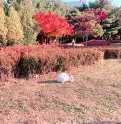 я Один Живу. 03