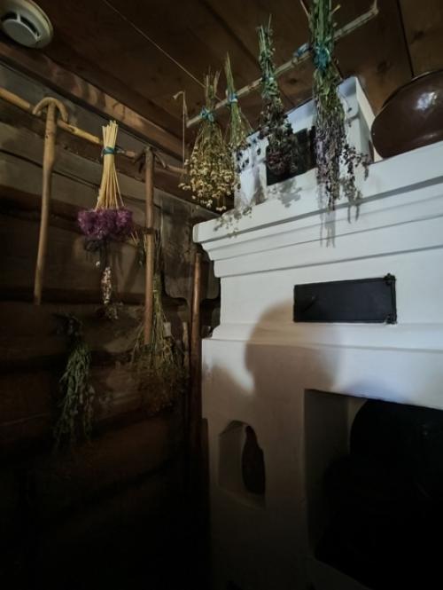 Дом пушкиных в Михаловском. 07