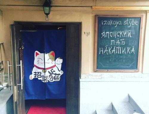 Гид по лучшим недорогим местам около Василеостровской. 04