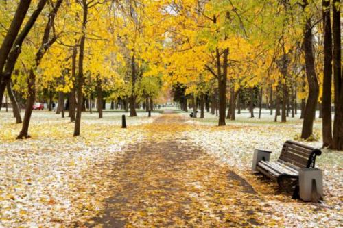 Где погулять в ноябре в Москве. 04