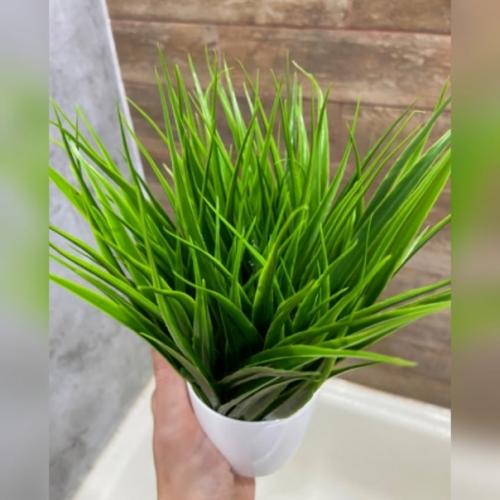 Смотрите, как преображается интерьер от присутствия сочной зелёной травки. 01