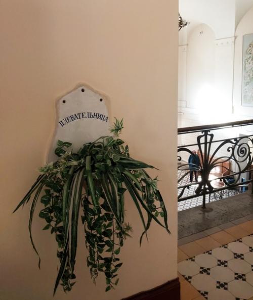 Лечь под нож хирурга по-петербуржски, это как? 03