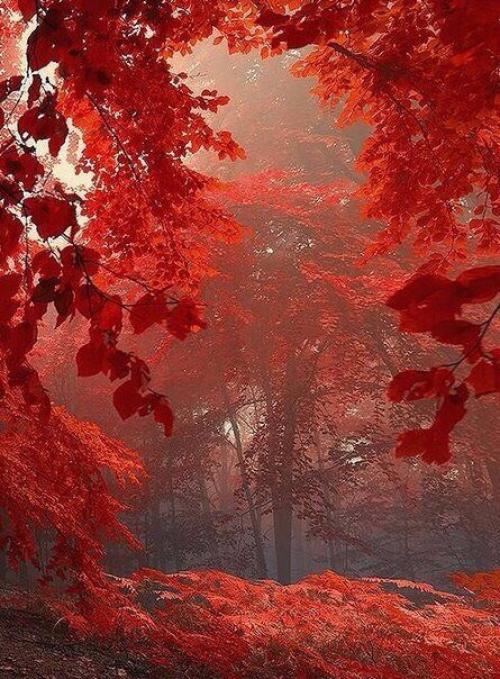 Осень в стиле Квентина тарантино. 03