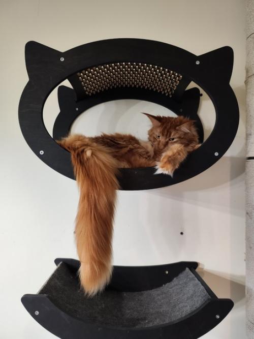 Недели через три пора будет менять декор квартиры на зимний, а я ещё осенним не похвасталась. 03