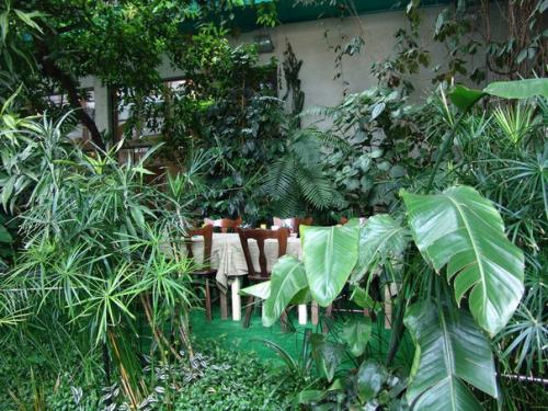 10 самых зелёных кафе Петербурга. 08