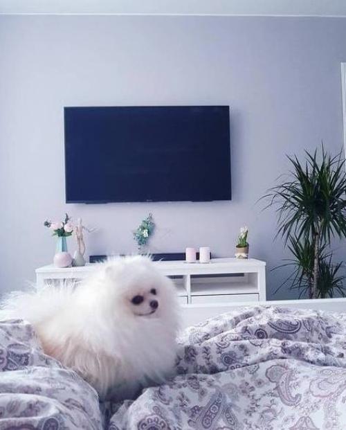 Идеальное оформление квартиры для девушки. 01