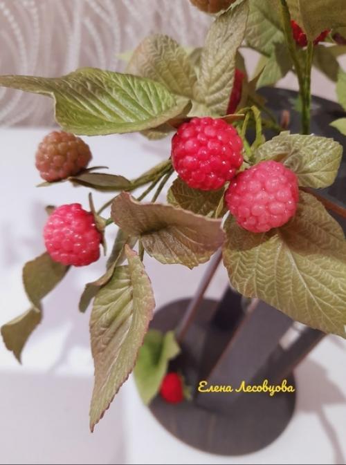 Композиция готова с веточками малины. 05