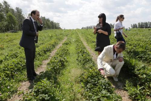 Белая ворона в черной стае, или выборы 2018. 02