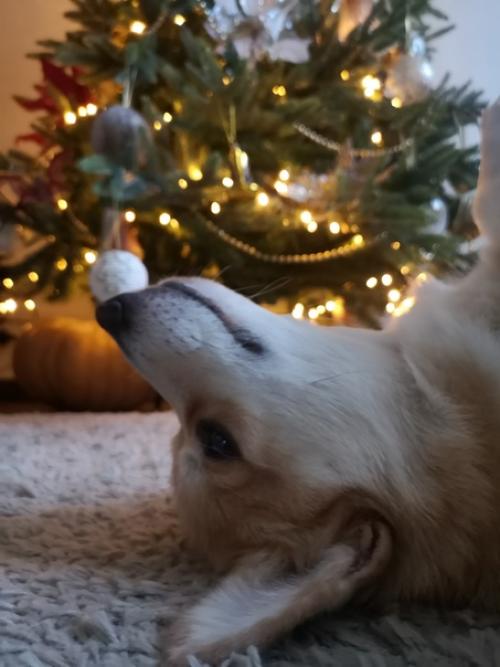 У Тебя Уютно или у тебя квартира, как у настоящей француженки  - часто я слышу от тех, кто заходит в мою крошечную московскую квартирку. 04