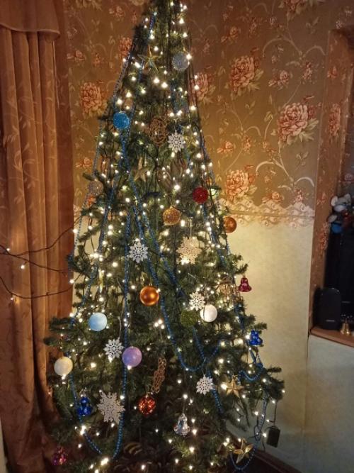 Ну, что, по елкам? 02