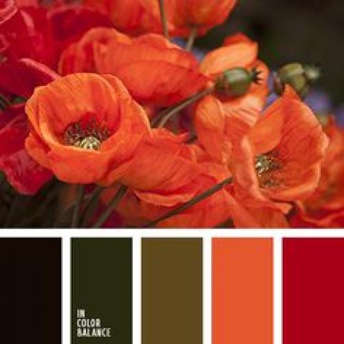 Влияние цвета на нашу жизнь. 05