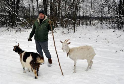 Выгодно ли жить в деревне? 01