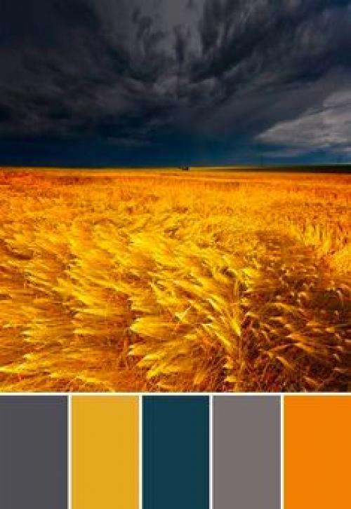 Влияние цвета на нашу жизнь. 02