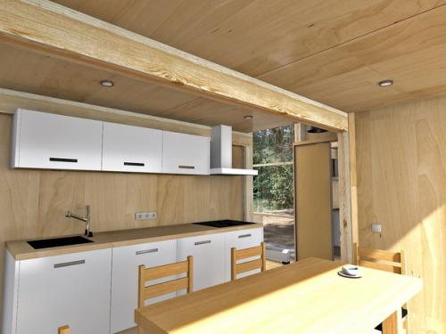 Дом 6 х 8 современная дача. 08