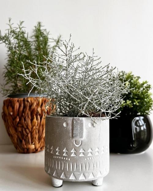 Зимнее настроение в квартире королевы Koroleva4kate кати. 06