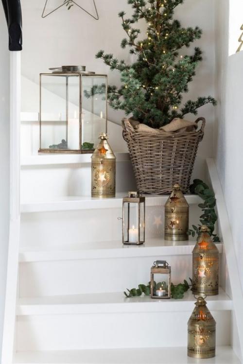 Вместо пихты нордмана: стильная кедровая ель. 06