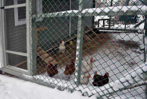 Выгодно ли жить в деревне? 02