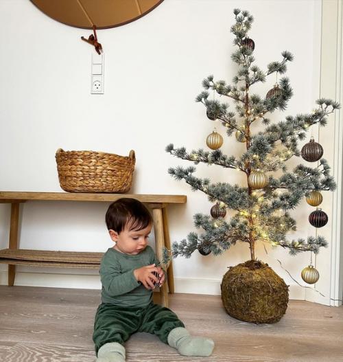 Вместо пихты нордмана: стильная кедровая ель. 02