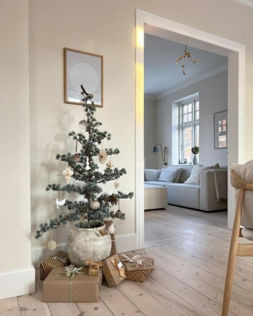 Вместо пихты нордмана: стильная кедровая ель. 04