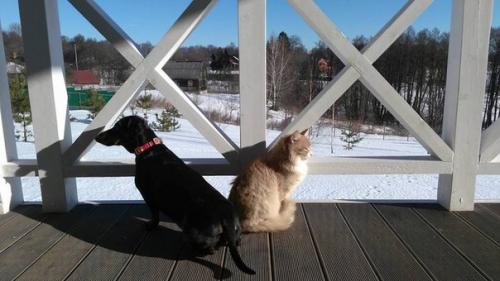 Выгодно ли жить в деревне? 04