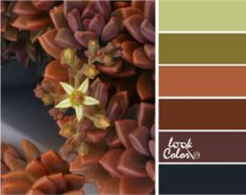 Влияние цвета на нашу жизнь. 03