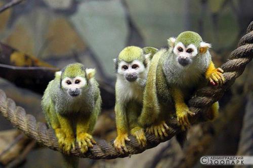 Афиша на выходные 9 - 10 декабря: 07