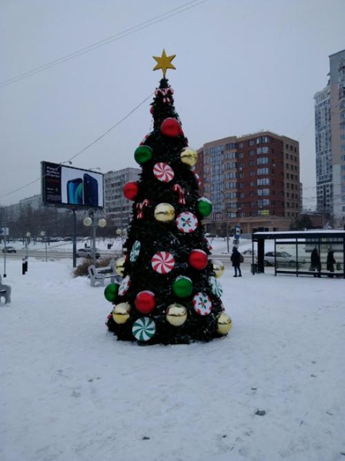 Ну, что, по елкам? 03