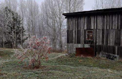 Выгодно ли жить в деревне? 06