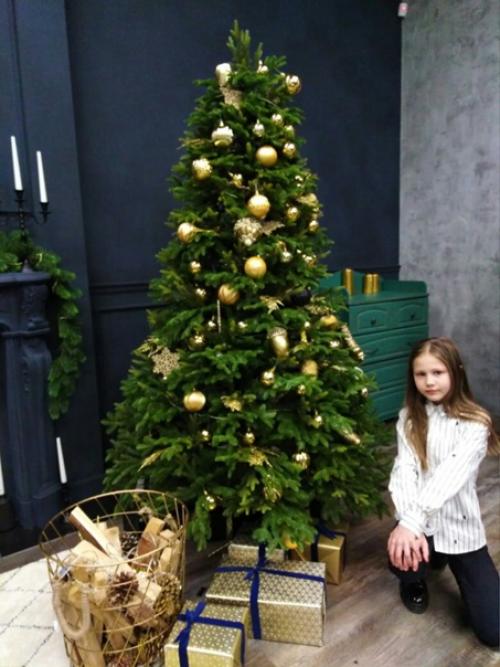 Ну, что, по елкам? 04