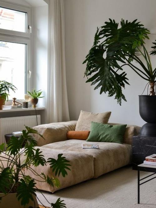 Берлинская квартира Игоря йосифовича, автора бестселлера Городские Джунгли. 03