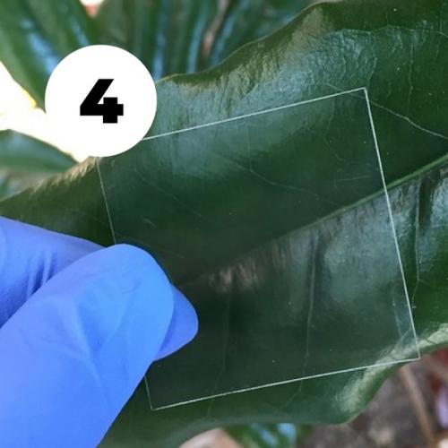 Вы голосуете - мы переводим! 03