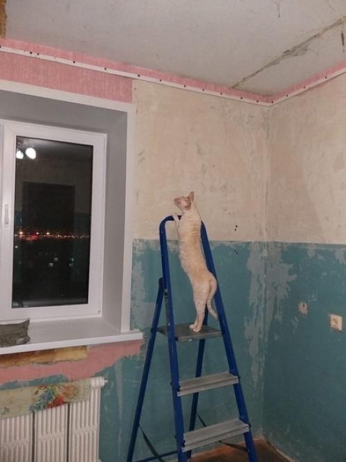 До и после. 02