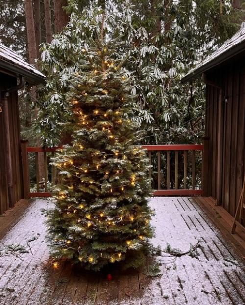 Частичка шикарного деревянного финского дома, расположенного в лесу с прекрасными видами и уютной атмосферой! 02