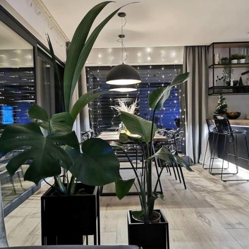 Продуманный интерьер небольшого загородного дома. 02