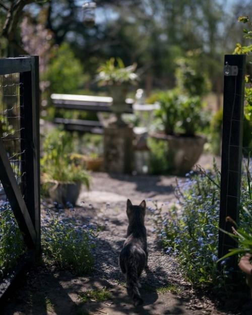 Мы планируем сад: для кинестетиков, аудиалов, визуалов. 01