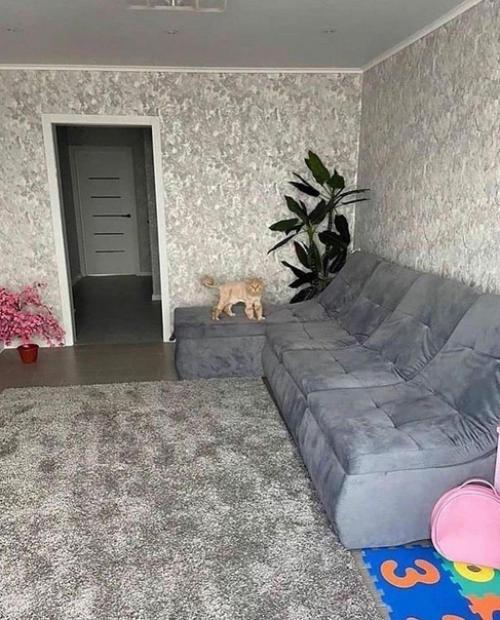 Квартира после ремонта. 01