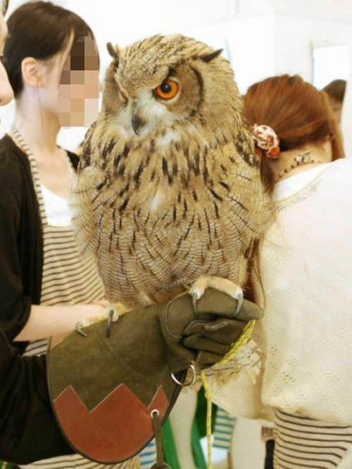 In_Focus_Salty_Coffee_о_всяком_разном. 05