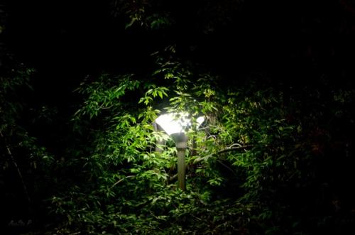 Размышляла недавно о том, что я люблю в окружающем меня мире. 01