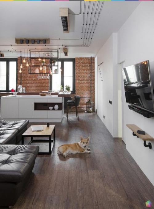 В гостях у двух кошек и собаки ч. 1. 08