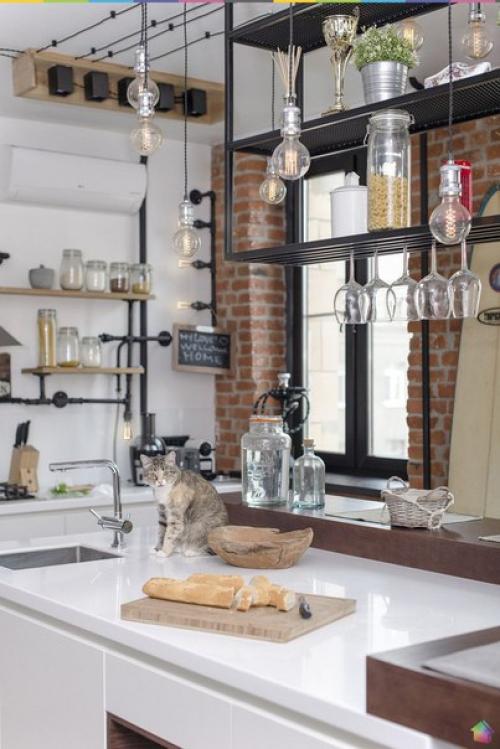 В гостях у двух кошек и собаки ч. 1. 06