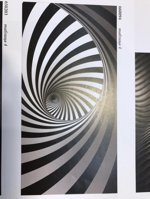 От нашего подписчика. 05