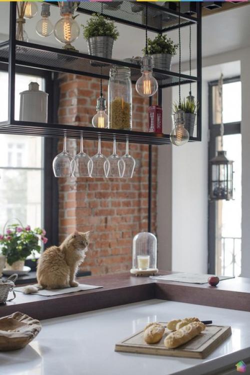 В гостях у двух кошек и собаки ч. 1. 07