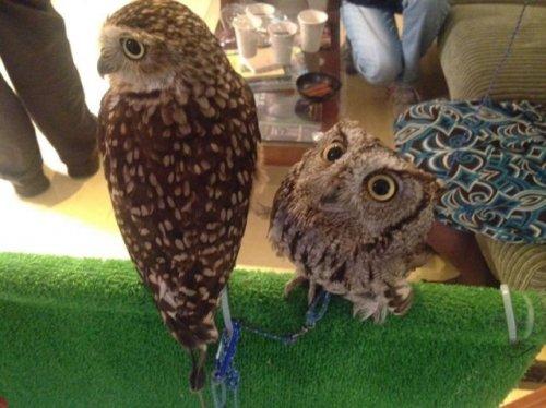 In_Focus_Salty_Coffee_о_всяком_разном. 03