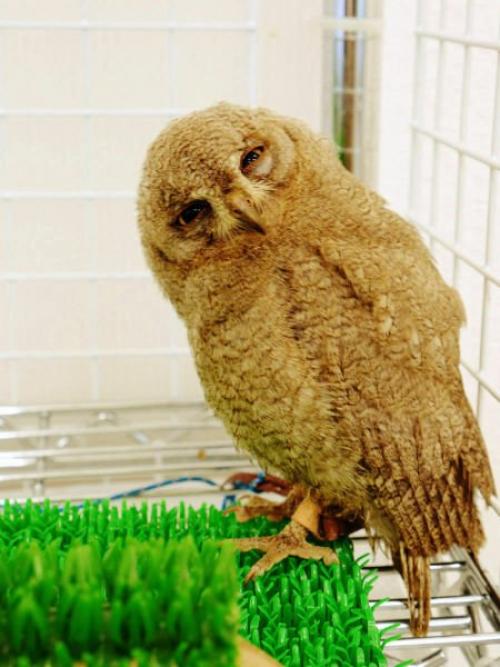 In_Focus_Salty_Coffee_о_всяком_разном. 02