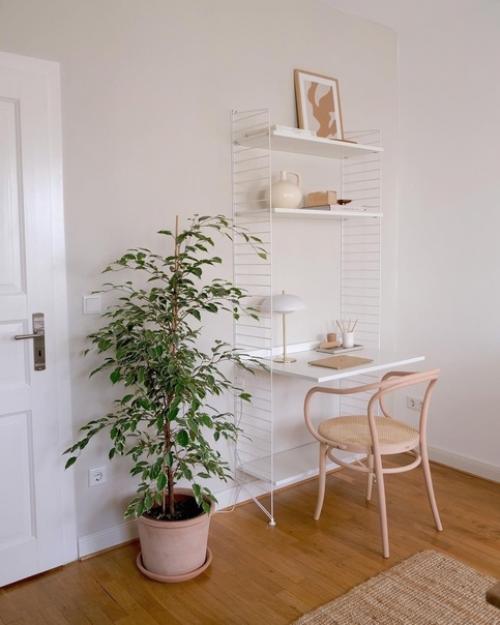 Почему декор и растения, кочующие из одной комнаты в другую, - это абсолютно нормально. 07 Почему декор и растения, кочующие из одной комнаты в другую, - это абсолютно нормально. 07