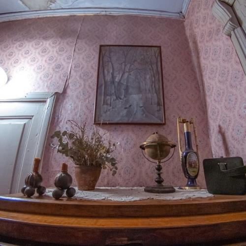 Музей ал.  Алтаева расположен на высоком берегу реки плюссы в деревянном усадебном доме Xviii века. 03