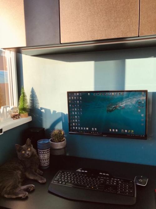 Ремонт в однушке.  Очень эффектно смотрится сочетание синего и белого цвета в кухне. 05